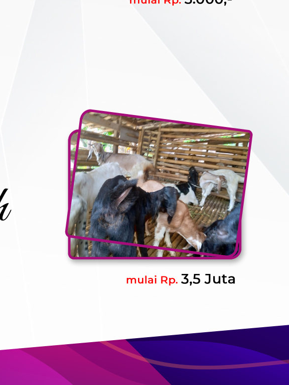 Foto Produk